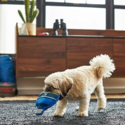 Frisco Camping Canteen Plush With Rope Squeaky Dog Toy 5 Frisco Camping Canteen Plush With Rope Squeaky Dog Toy -Frisco 271022 PT3. AC SS1800 V1625009237