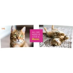 Frisco "Classic" Double Walled Personalized Tumbler. 30-oz 6 Frisco "Classic" Double Walled Personalized Tumbler. 30-oz -Frisco 272541 PT2. AC SS1800 V1625686095