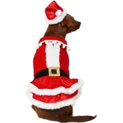 Frisco Mrs. Claus Dog & Cat Costume 8 Frisco Mrs. Claus Dog & Cat Costume -Frisco 276150 PT3. AC SS1800 V1631572139