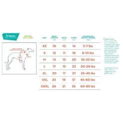 Frisco Front Walking Gingerbread Dog & Cat Costume -Frisco 276156 PT1. AC SS1800 V1631918804