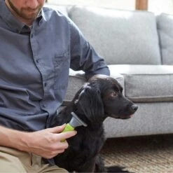 Frisco Soft Slicker Dog Brush, One Size & Frisco Deshedding Dog & Cat Brush -Frisco 276229 PT6. AC SS1800 V1616191886