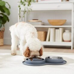 Frisco Silicone Stainless Steel Double Diner Slow Feeder Dog & Cat Bowl, Grey, 3 Cup -Frisco 277549 PT2. AC SS1800 V1630346823