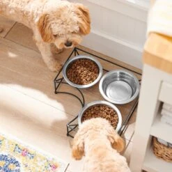 Frisco Multi Pet Feeding Corner 3-Bowls Stainless Steel Dog & Cat Bowl 8 Frisco Multi Pet Feeding Corner 3-Bowls Stainless Steel Dog & Cat Bowl -Frisco 277561 PT2. AC SS1800 V1630346973
