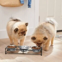 Frisco Multi Pet Feeding 3-Bowls Straight Stainless Steel Dog & Cat Bowl 9 Frisco Multi Pet Feeding 3-Bowls Straight Stainless Steel Dog & Cat Bowl -Frisco 277568 PT2. AC SS1800 V1630346795