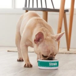 Frisco Personalized General Dog & Cat Small Dog Bowl 7 Frisco Personalized General Dog & Cat Small Dog Bowl -Frisco 278924 PT3. AC SS1800 V1629147374