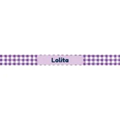 Frisco Personalized Gingham Plaid Small Dog & Cat Bowl -Frisco 278928 PT2. AC SS1800 V1629146797