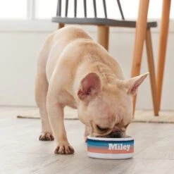 Frisco Personalized Watercolor Small Dog & Cat Bowl -Frisco 278944 PT3. AC SS1800 V1629147733