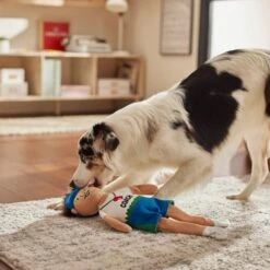 Frisco Gym Teacher Plush Squeaky Dog Toy 5 Frisco Gym Teacher Plush Squeaky Dog Toy -Frisco 279447 PT3. AC SS1800 V1628191161