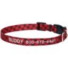 Frisco Buffalo Check Polyester Personalized Dog Collar
