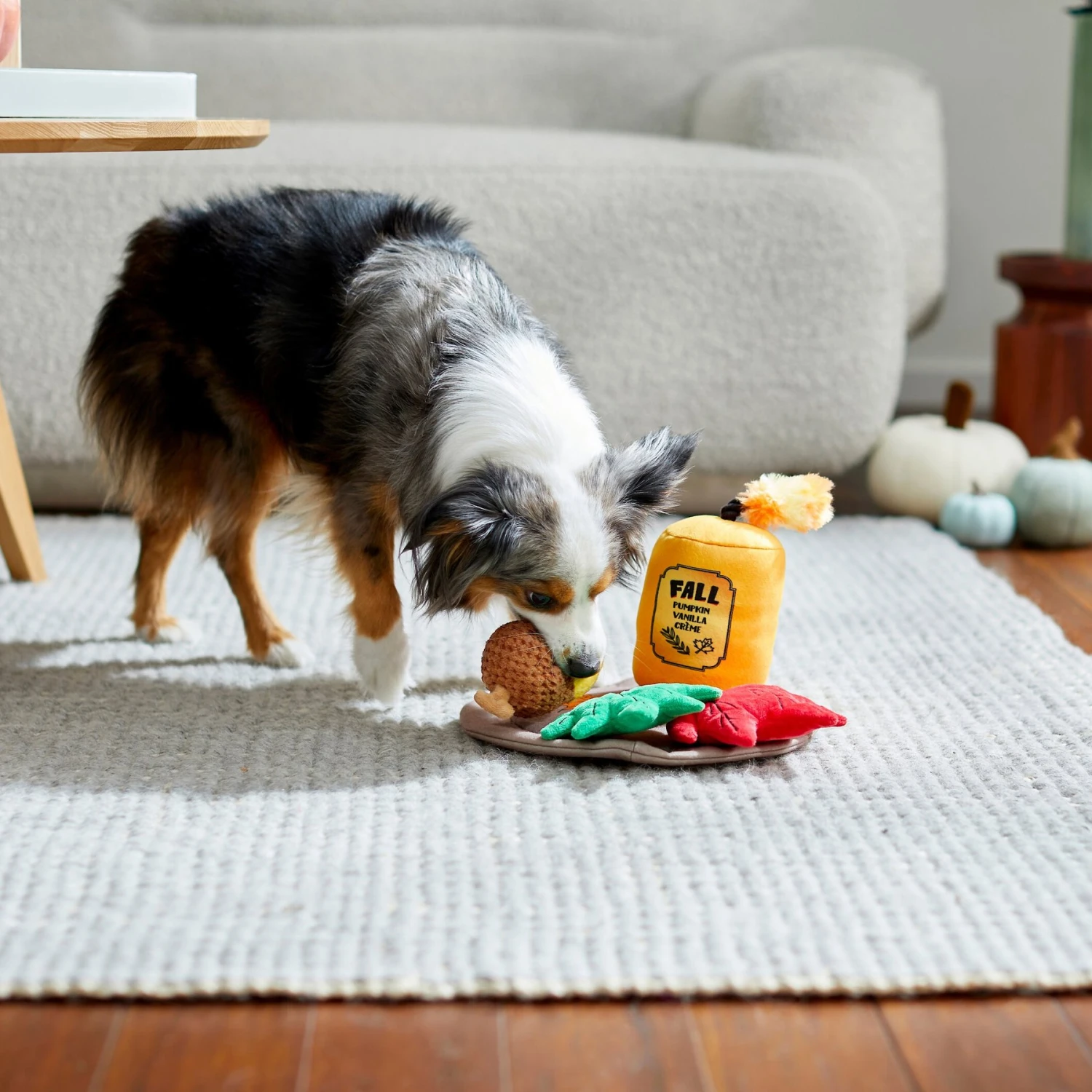 Frisco Fall Festive Candle Charger Plush Squeaky Dog Toy, 4 Count 3 Frisco Fall Festive Candle Charger Plush Squeaky Dog Toy, 4 Count - Image 3