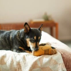 Frisco Fall Boot Plush Squeaky Dog Toy 5 Frisco Fall Boot Plush Squeaky Dog Toy -Frisco 285619 PT3. AC SS1800 V1629724969