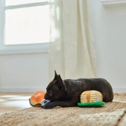 Frisco Fall Pancakes & Maple Syrup Plush Squeaky Dog Toy, 2 Count -Frisco 285627 PT3. AC SS1800 V1629725170