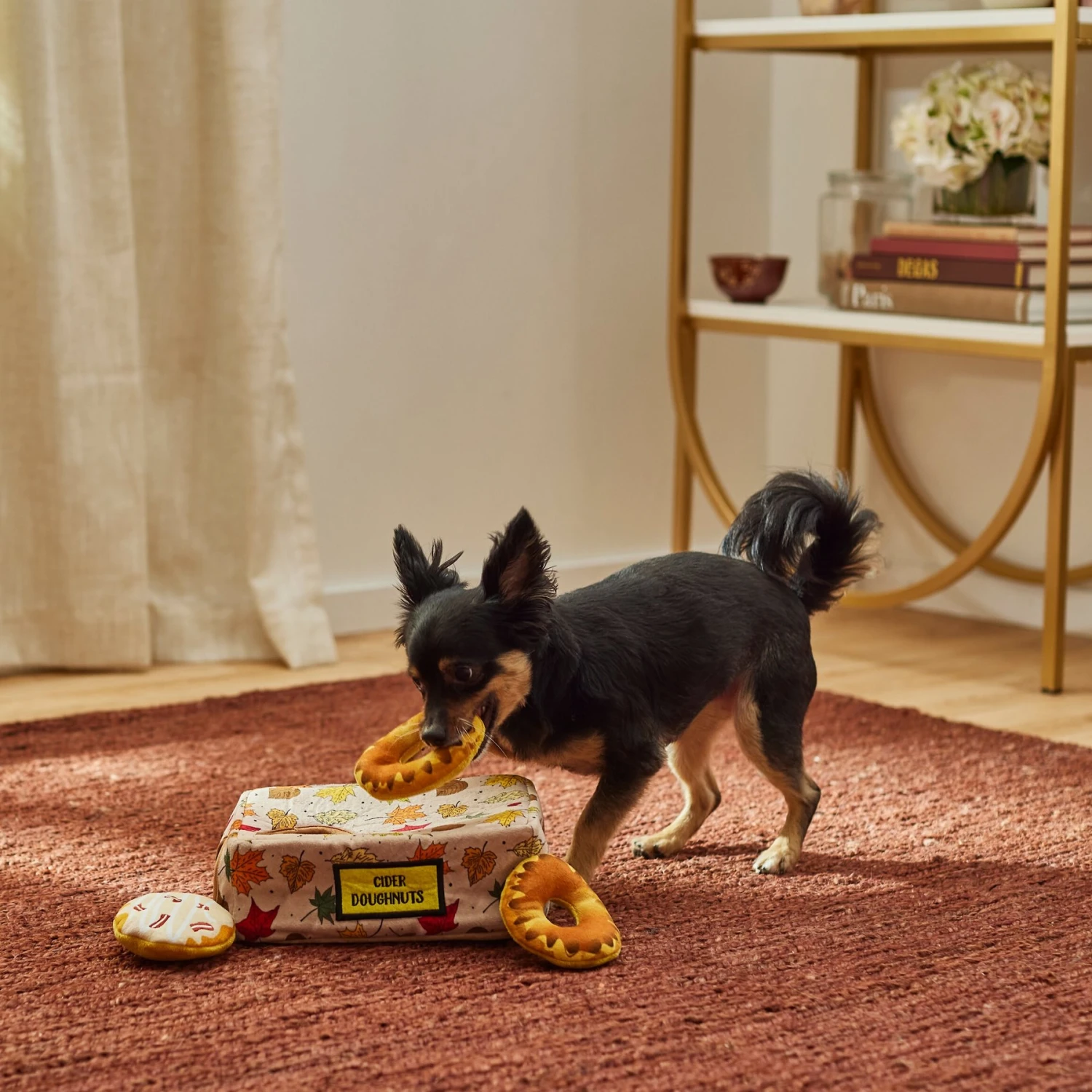 Frisco Fall Box Of Donuts Hide & Seek Puzzle Plush Squeaky Dog Toy 4 Frisco Fall Box Of Donuts Hide & Seek Puzzle Plush Squeaky Dog Toy - Image 4