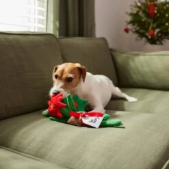 Frisco Flower Bouquet Plush Squeaky Dog Toy -Frisco 287163 PT3. AC SS1800 V1632776821