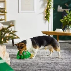 Frisco Holiday Tree Thin Plush Squeaky Dog Toy 7 Frisco Holiday Tree Thin Plush Squeaky Dog Toy -Frisco 287167 PT3. AC SS1800 V1632773873