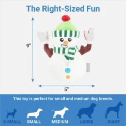 Frisco Holiday Naughty Or Nice Snowman Reversible Plush Squeaky Dog Toy -Frisco 287219 PT2. AC SS1800 V1637704003