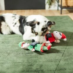 Frisco Holiday Bad Santa & Elf Plush Squeaky Dog Toy 5 Frisco Holiday Bad Santa & Elf Plush Squeaky Dog Toy -Frisco 287223 PT3. AC SS1800 V1632773570