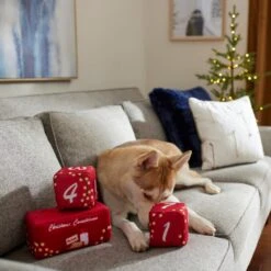 Frisco Holiday 12 Day Countdown Blocks Plush Squeaky Dog Toy, 3 Count 5 Frisco Holiday 12 Day Countdown Blocks Plush Squeaky Dog Toy, 3 Count -Frisco 287447 PT3. AC SS1800 V1632774583