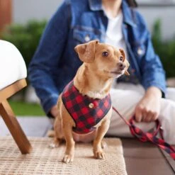 Frisco Fashion Over-The-Head Harness, Blue Plaid 9 Frisco Fashion Over-The-Head Harness, Blue Plaid -Frisco 287472 PT8. AC SS1800 V1632316407