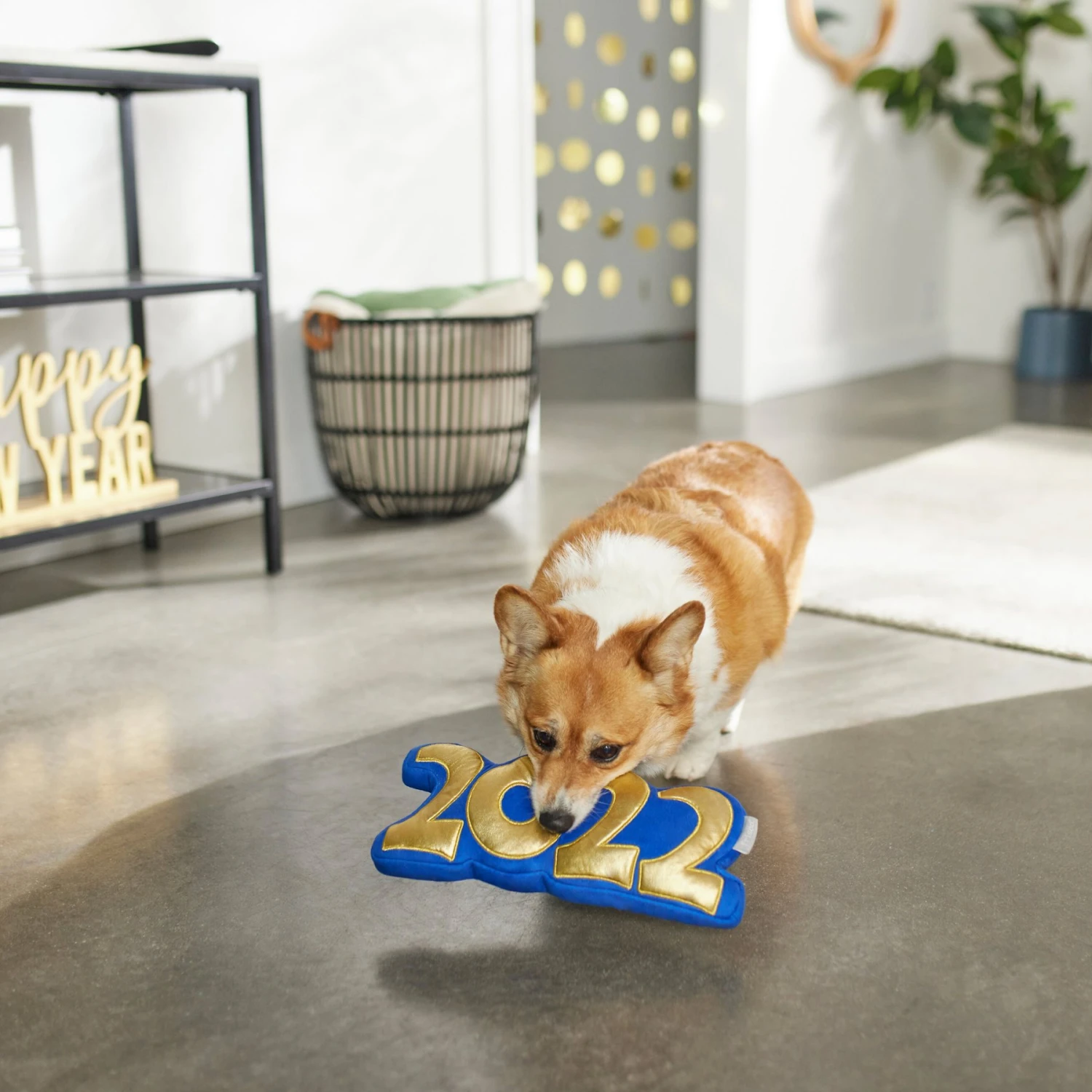 Frisco New Year's Eve 2022 Plush Squeaky Dog Toy 4 Frisco New Year's Eve 2022 Plush Squeaky Dog Toy - Image 4