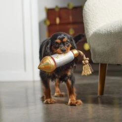 Frisco Firework Plush With Rope Squeaky Dog Toy 5 Frisco Firework Plush With Rope Squeaky Dog Toy -Frisco 288480 PT3. AC SS1800 V1638291301