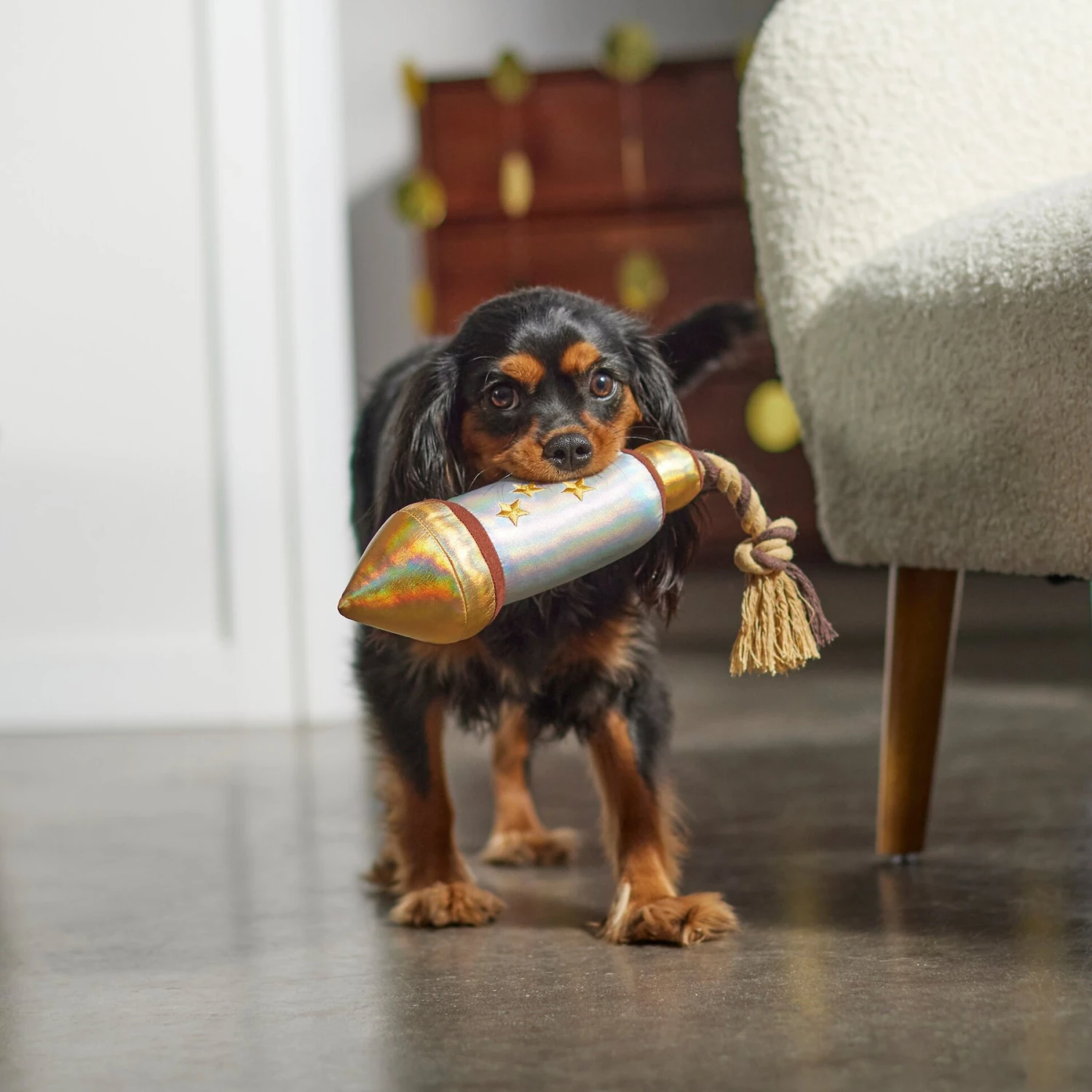 Frisco Firework Plush With Rope Squeaky Dog Toy 3 Frisco Firework Plush With Rope Squeaky Dog Toy - Image 3