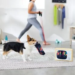 Frisco TV & VHS Tape Plush Squeaky Dog Toy, 2 Count -Frisco 288935 PT3. AC SS1800 V1638291435