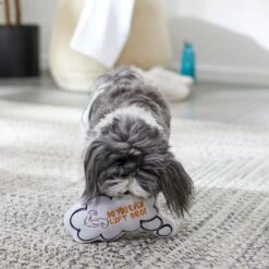 Frisco Message Bubble Plush Squeaky Dog Toy -Frisco 288941 PT3. AC SS1800 V1638289328