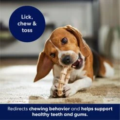 Frisco Ring Tough Nylon Chew Dog Toy, Chicken Flavor 10 Frisco Ring Tough Nylon Chew Dog Toy, Chicken Flavor -Frisco 290533 PT4. AC SS1800 V1695760990