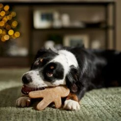 Frisco Nylon Gingerbread Dog Chew Toy, Beef Flavor, Medium 7 Frisco Nylon Gingerbread Dog Chew Toy, Beef Flavor, Medium -Frisco 291385 PT3. AC SS1800 V1668108316