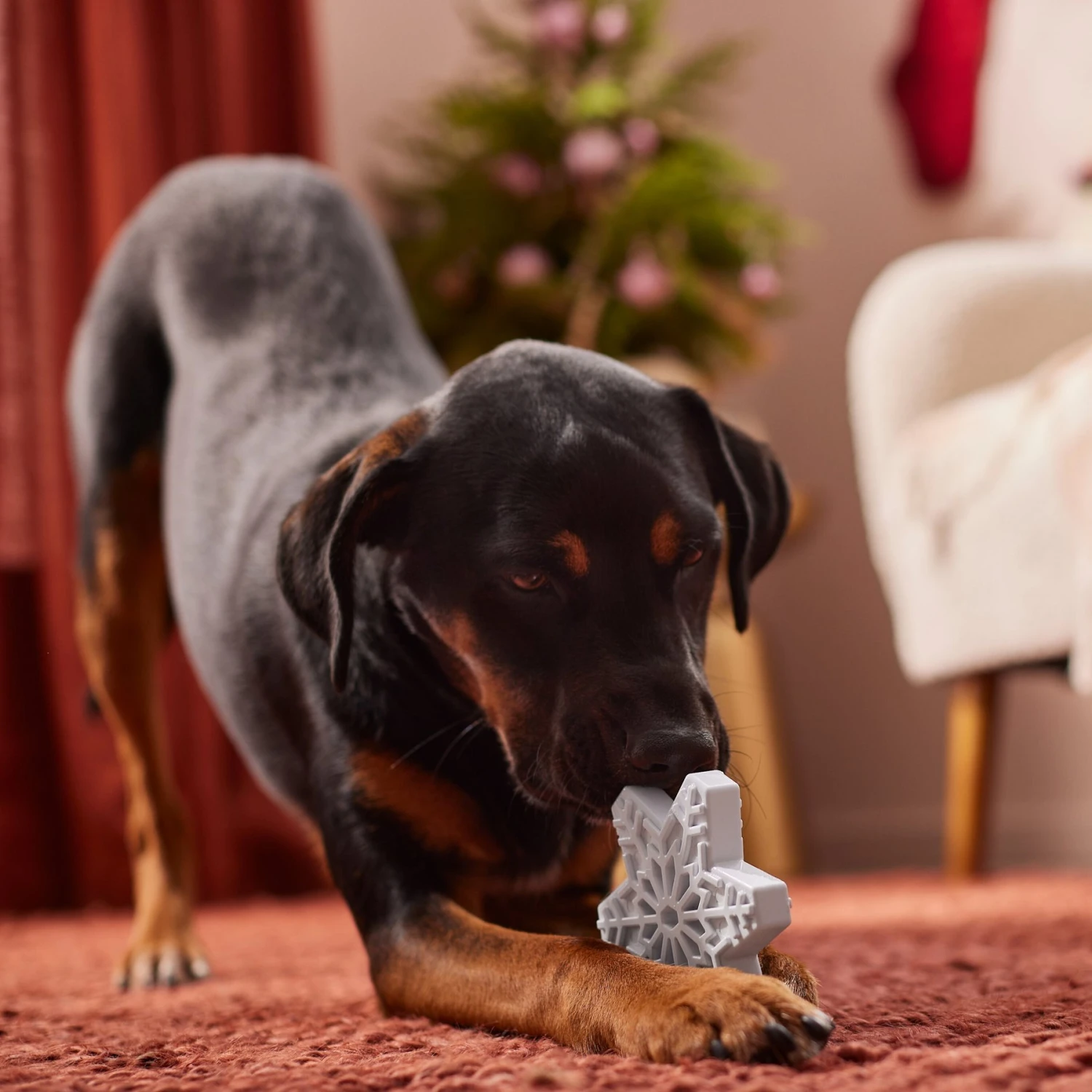 Frisco Holiday Nylon Snowflake Dog Chew Toy, Peanut Butter Flavor, Medium 3 Frisco Holiday Nylon Snowflake Dog Chew Toy, Peanut Butter Flavor, Medium - Image 3