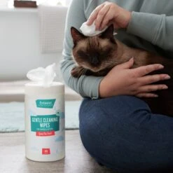 Frisco Gentle Cleaning Waterless Grooming Wipes For Puppies & Kittens, Green Tea Scent 11 Frisco Gentle Cleaning Waterless Grooming Wipes For Puppies & Kittens, Green Tea Scent -Frisco 291592 PT5. AC SS1800 V1627306905