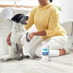 Frisco Deodorizing Paw & Bum Waterless Grooming Wipes For Dogs & Cats -Frisco 291593 PT4. AC SS1800 V1627654025