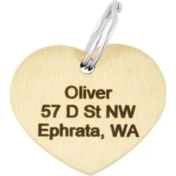 Frisco Brass Personalized Dog & Cat ID Tag, Heart -Frisco 296197 PT4. AC SS1800 V1628186527