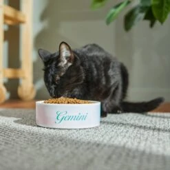 Frisco Watercolors Ceramic Personalized Dog Bowl -Frisco 296664 PT3. AC SS1800 V1625764646