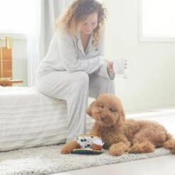 Frisco Brunch Teacup Plush Squeaky Dog Toy 5 Frisco Brunch Teacup Plush Squeaky Dog Toy -Frisco 297232 PT3. AC SS1800 V1642087957