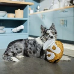 Frisco Brunch Cinnamon Roll Jumbo Plush Squeaky Dog Toy 5 Frisco Brunch Cinnamon Roll Jumbo Plush Squeaky Dog Toy -Frisco 297260 PT2. AC SS1800 V1642089012