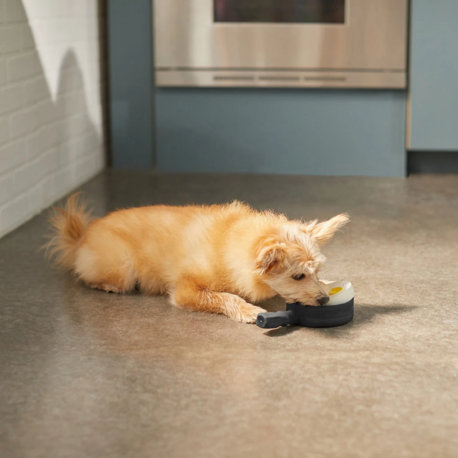 Frisco Brunch Breakfast Skillet Latex Squeaky Dog Toy, 2 Count 3 Frisco Brunch Breakfast Skillet Latex Squeaky Dog Toy, 2 Count - Image 3