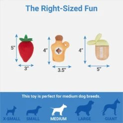 Frisco Brunch Pancake Hide & Seek Puzzle Plush Squeaky Dog Toy 6 Frisco Brunch Pancake Hide & Seek Puzzle Plush Squeaky Dog Toy -Frisco 297266 PT2. AC SS1800 V1643916712