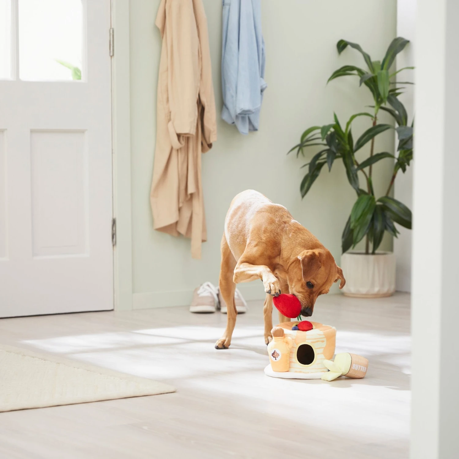 Frisco Brunch Pancake Hide & Seek Puzzle Plush Squeaky Dog Toy 4 Frisco Brunch Pancake Hide & Seek Puzzle Plush Squeaky Dog Toy - Image 4