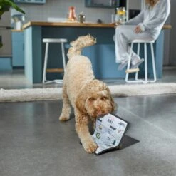 Frisco Brunch Menu Ballistic Nylon Flat Plush Squeaky Dog Toy -Frisco 297276 PT2. AC SS1800 V1642088788