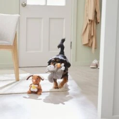 Frisco Brunch Flying Breakfast Critters Plush Squeaky Dog Toy 5 Frisco Brunch Flying Breakfast Critters Plush Squeaky Dog Toy -Frisco 297280 PT2. AC SS1800 V1642088192