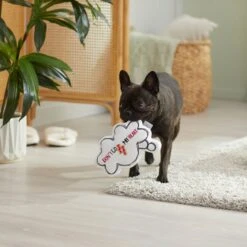 Frisco Brunch Word Bubble Plush Squeaky Dog Toy 7 Frisco Brunch Word Bubble Plush Squeaky Dog Toy -Frisco 297286 PT3. AC SS1800 V1642087915