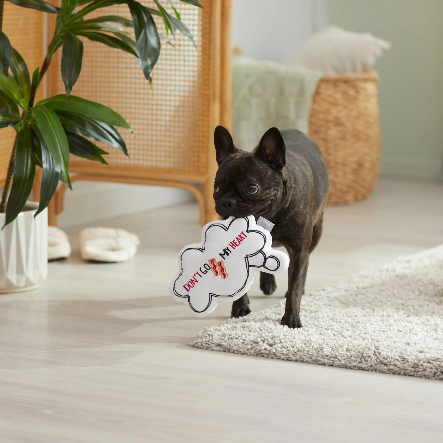 Frisco Brunch Word Bubble Plush Squeaky Dog Toy 4 Frisco Brunch Word Bubble Plush Squeaky Dog Toy - Image 4