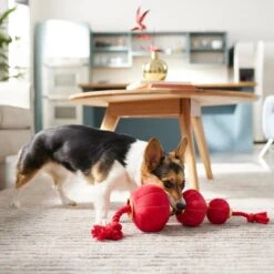 Frisco Lunar New Year Lantern Plush With Rope Squeaky Dog Toy -Frisco 298885 PT3. AC SS1800 V1640269279