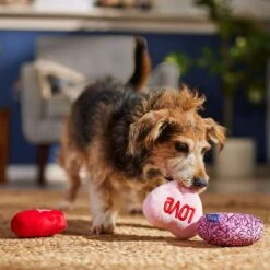 Frisco Valentine Hearts Plush Squeaky Dog Toy 6 Frisco Valentine Hearts Plush Squeaky Dog Toy -Frisco 298919 PT3. AC SS1800 V1701365170