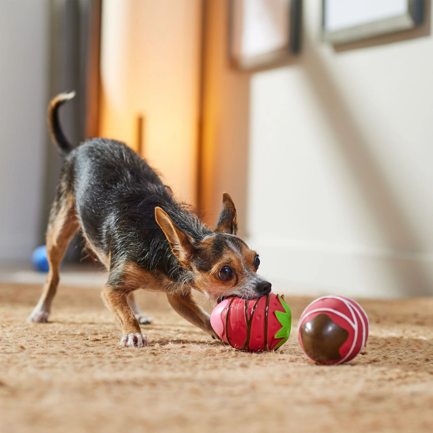 Frisco Valentine Chocolate Covered Strawberries Latex Squeaky Dog Toy 3 Frisco Valentine Chocolate Covered Strawberries Latex Squeaky Dog Toy - Image 3