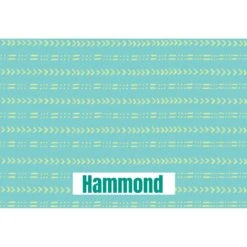 Frisco Mudcloth Personalized Dog & Cat Placemat -Frisco 299552 PT2. AC SS1800 V1636048646