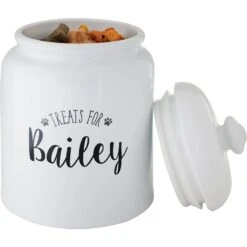 Frisco Ceramic "Treats For" Personalized Treat Jar, 13 Cup, 104oz 10 Frisco Ceramic "Treats For" Personalized Treat Jar, 13 Cup, 104oz -Frisco 301185 PT4. AC SS1800 V1630732926