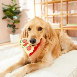 Frisco Pizza Slice Plush Squeaky Dog Toy & Frisco Taco Plush Squeaky Dog Toy 10 Frisco Pizza Slice Plush Squeaky Dog Toy & Frisco Taco Plush Squeaky Dog Toy -Frisco 302494 PT3. AC SS1800 V1623051762